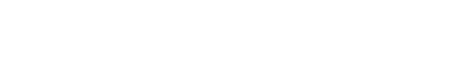 Recruitment, selection for EU, Tehnika TEMP
