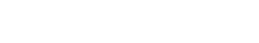 Recruitment, selection, Tehnika TEMP
