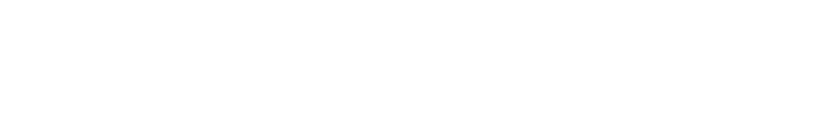 Recruitment, selection, Tehnika TEMP