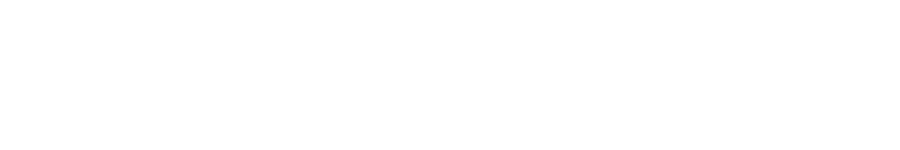 Recruitment, selection, Tehnika TEMP