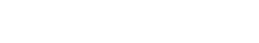 Recruitment, selection, Tehnika TEMP