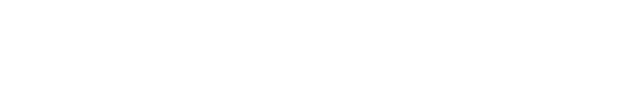 Привлечете ги, идентификувајте ги и изберете ги најталентираните, Техника ТЕМП
