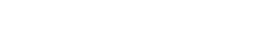 Конкурси за вработување, регрутирање, селекција, Техника ТЕМП